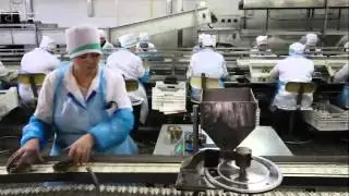 Рыбопереработка в Калининградской области