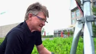 Maryland looks to make rooftop farms a matter-of-fact: LiveBIG 2019-20