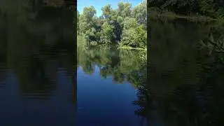 лесная речка