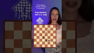 РАСПРОДАЖА в день шахмат⬇️ 
