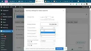 wpml multicurrency setting