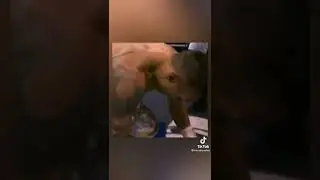 Эстиный Мужчины