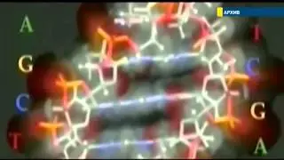 Бог есть, говорят ученые