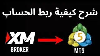 كيفية ربط حساب XM مع MetaTrader 5