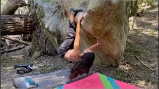 Bat Hang (V2) | Castle Rock Beta