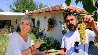 Gülin Bozkurt's Village Migration Story: A New Life in Bayramiç Köseler Village