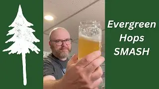 What do Evergreen Hops Taste Like? - SMaSH Beer - Brew Dudes