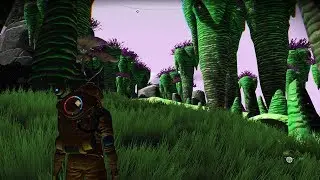 DIVERSE ENVIRONMENTS FOR NEXT - ALIEN SPIRE FOREST