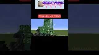 Minecraft Skyblock Survival: Starting from Nothing #shorts
