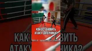Как остановить атаку боксёра? #бокс #школабокса #удар #boxingtraining #boxing #хук #boxingworkout