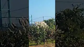 9 de setembro de 2024