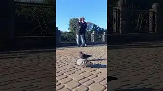 Харьков; Про любовь💘💝💖 