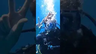 Sharm El Sheikh, Diving, Ras Muhammad Reserve