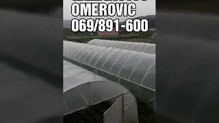 GAZDINSTVO OMEROVIC