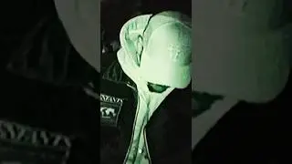 VULTURE RAVE👽🎥