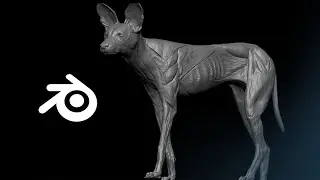 Understanding Ecorshe Sculpting In Blender (Sketching #1)