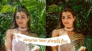 Professional camera raw presets free download 2020  color lookup