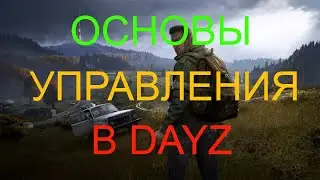 ГАЙД ПО УПРАВЛЕНИЮ ИГРЫ DAYZ НА PS4