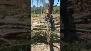 Land clearing with Kubota kx033-4 mini excavator #land #excavator #kubota #campground #rvlife #camp