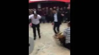 GaziAntep Düğünleri