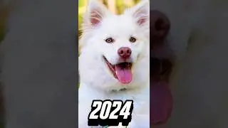 2024 dog 🐶 vs 5000 BCE dog 🐕 💥💥 #viral #shorts