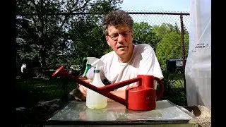 Watering and Fertilizing My Bonsai Trees, June 2017