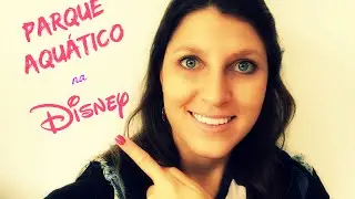 Qual é o ingresso para ir nos parques aquáticos da Disney?