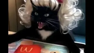 Live Identity V 8vs2 | Inhaiiiii Boys and gayyysss