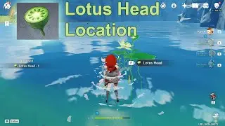 Lotus Head Location - Genshin Impact