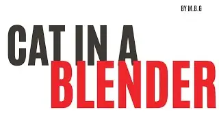 Cat in the Blender | Cat in Blender Viral Video | Cat Blender