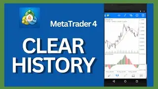 How to Clear History on Metatrader4 Account | Delete History on Metatrader4 2024?