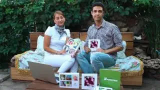 Что такое инстабук? Команда проекта instabook.life, которая стала Mofy.life