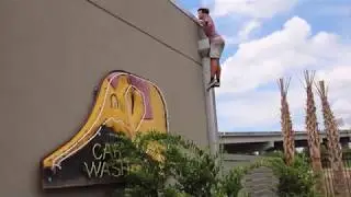welcome to the hive