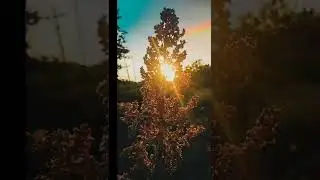 mobile photography tips and tricks