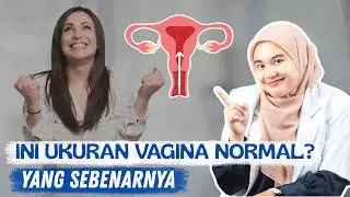 Vagina Sizes Are Equal or Different? Here Are the Scientific Facts - WSP DOCTOR