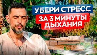 МЕДИТАЦИЯ ОТ ТРЕВОГИ И СТРЕССА