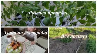 Посіяла що планувала🍃 Розсада гине ☘️Торт на сковорідці🎂 Купили дачу 🏠ч.32