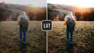 Free LUT 