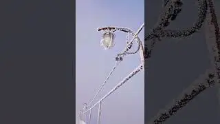 20 марта 2024 г.