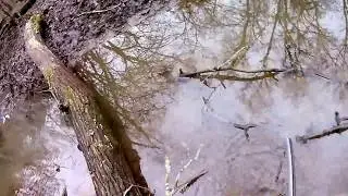 Так стрелять нельзя!