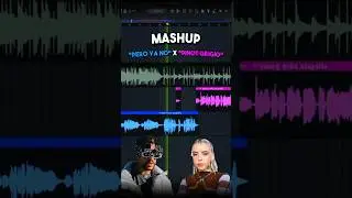 Mashup “Bad Bunny x Young Miko”