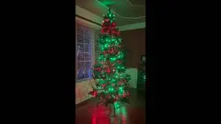 350 Pixel Indoor Christmas Tree Running xLight Sequence on ESPixelStick Locally - 2023