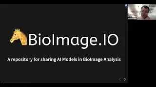 Scaling AI-powered Bioimage Analysis with the BioEngine