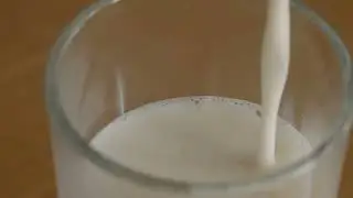 GRAEF milk frother MS902 Produktvideo EN