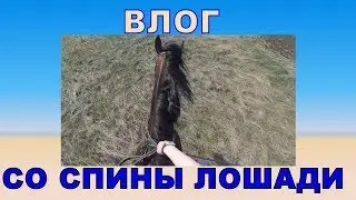 Влог со спины лошади. Верхом от первого лица.