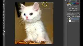 Quick selection tool