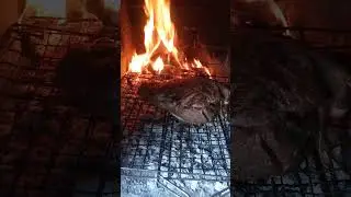 #бараньянога