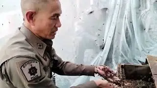 Un-Bee-Lievably Skilled Policeman Finds Fans Worldwide