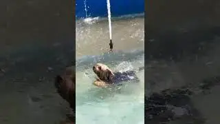 #summer