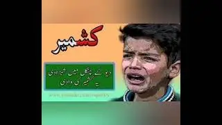 5 February Kashmir dy